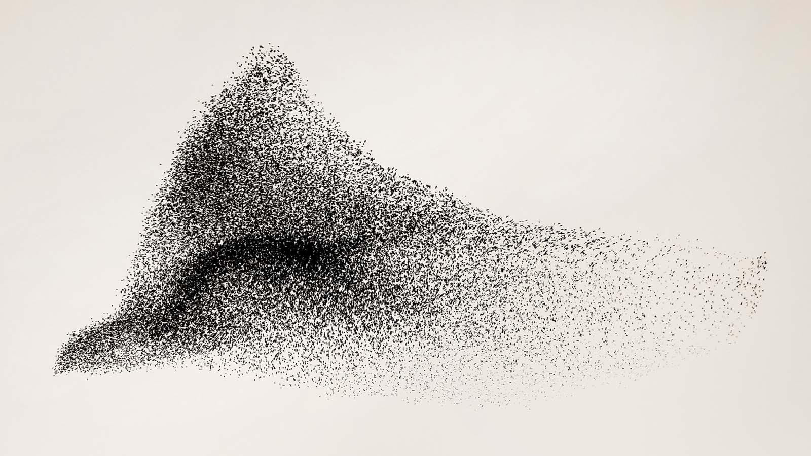 Eagle murmuration