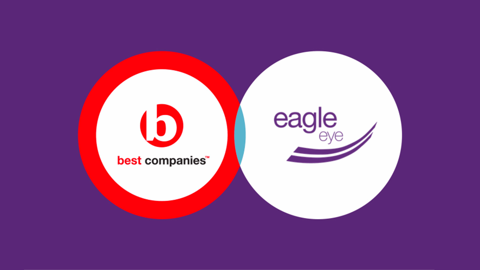 Eagle Eye Best Companies