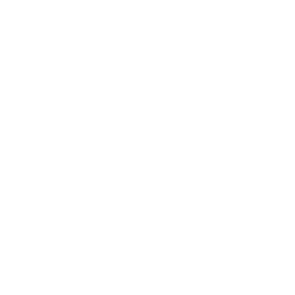 Support icon